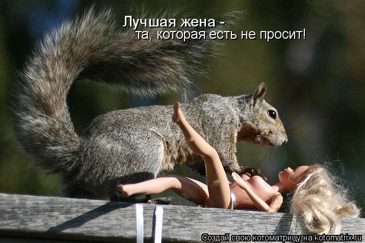Лучшая жена - та, которая есть не просит!... Котоматрица: Лучшая жена - та, которая есть не просит!