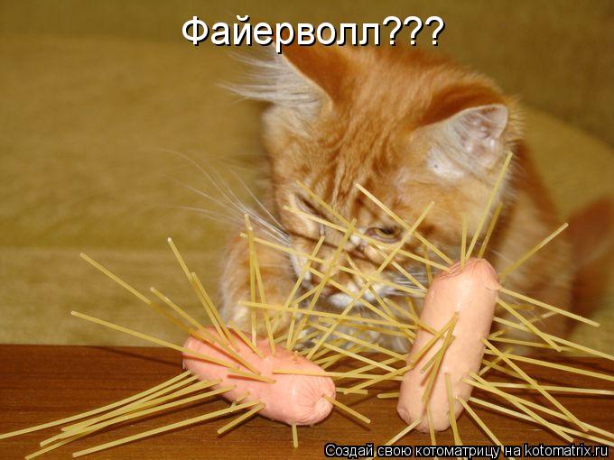 Файерволл???... Котоматрица: Файерволл???