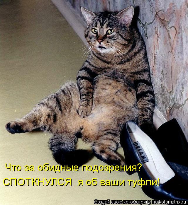 Что за обидные подозрения? СПОТКНУЛСЯ я об ваши туфли!... Котоматрица: Что за обидные подозрения? СПОТКНУЛСЯ я об ваши туфли!