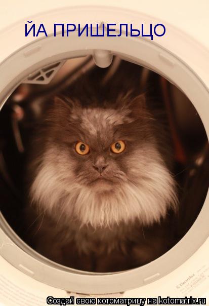 ЙА ПРИШЕЛЬЦО... Котоматрица: ЙА ПРИШЕЛЬЦО
