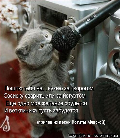 Пошлю тебя на... кухню за творогом Сосиску сварить или за йогуртом Еще одно моё желание сбудется И ве... Котоматрица: Пошлю тебя на... кухню за творогом Сосиску сварить или за йогуртом Еще одно моё желание сбудется И ветклиника пусть забудется (припев из пес