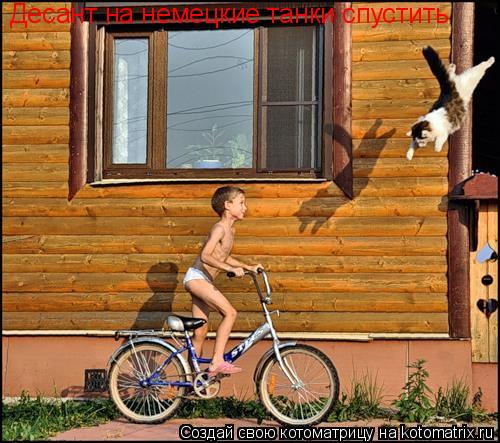 Десант на немецкие танки спустить... Котоматрица: Десант на немецкие танки спустить