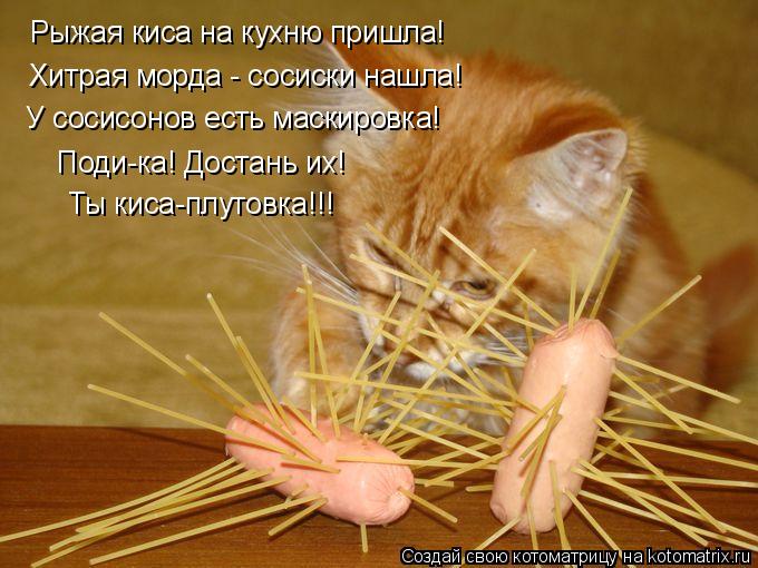 Рыжая киса на кухню пришла! Хитрая морда - сосиски нашла! У сосисонов есть маскировка! Поди-ка! Доста... Котоматрица: Рыжая киса на кухню пришла! Хитрая морда - сосиски нашла! У сосисонов есть маскировка! Поди-ка! Достань их! Ты киса-плутовка!!!