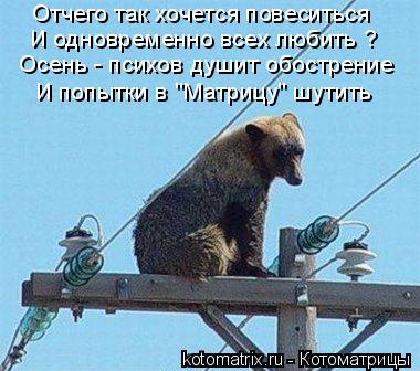 Отчего так хочется повеситься И одновременно всех любить ? Осень - психов душит обострение И попытки ... Котоматрица: Отчего так хочется повеситься И одновременно всех любить ? Осень - психов душит обострение И попытки в "Матрицу" шутить