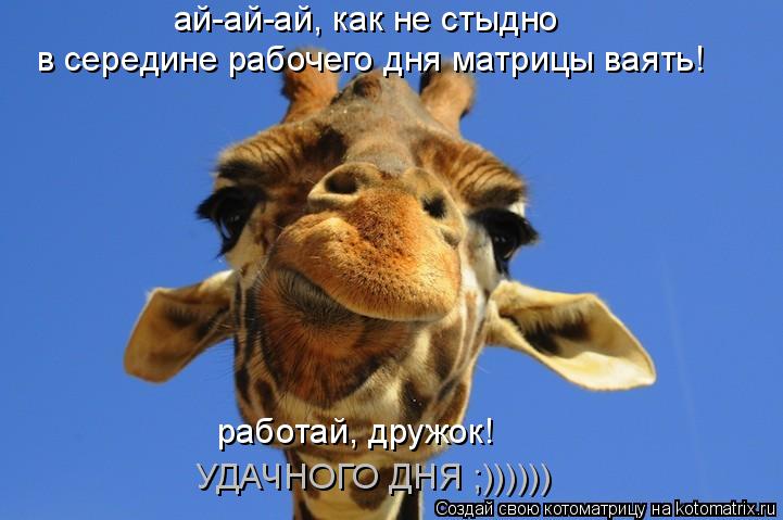 ай-ай-ай, как не стыдно в середине рабочего дня матрицы ваять! работай, дружок! УДАЧНОГО ДНЯ ;)))))... Котоматрица: ай-ай-ай, как не стыдно в середине рабочего дня матрицы ваять! работай, дружок! УДАЧНОГО ДНЯ ;))))))