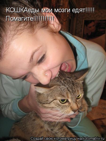КОШКАеды мои мозги едят!!!!! Помагите!!!!!!!!!!!... Котоматрица: КОШКАеды мои мозги едят!!!!! Помагите!!!!!!!!!!!