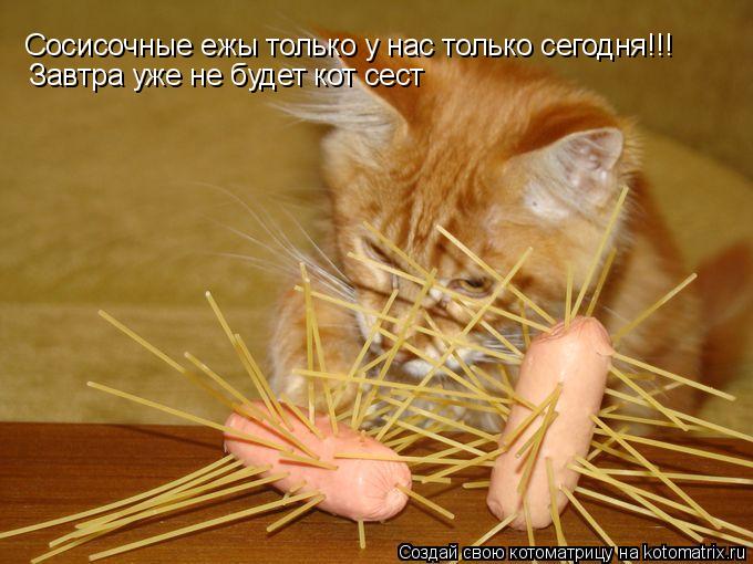 Сосисочные ежы только у нас только сегодня!!! Завтра уже не будет кот сест... Котоматрица: Сосисочные ежы только у нас только сегодня!!! Завтра уже не будет кот сест