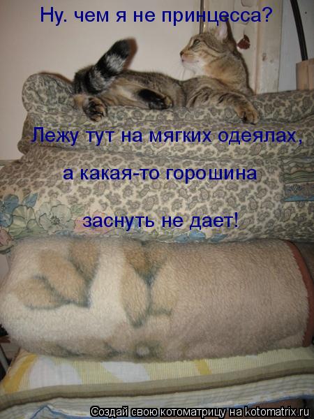 Ну. чем я не принцесса? Лежу тут на мягких одеялах, а какая-то горошина заснуть не дает!... Котоматрица: Ну. чем я не принцесса? Лежу тут на мягких одеялах, а какая-то горошина заснуть не дает!