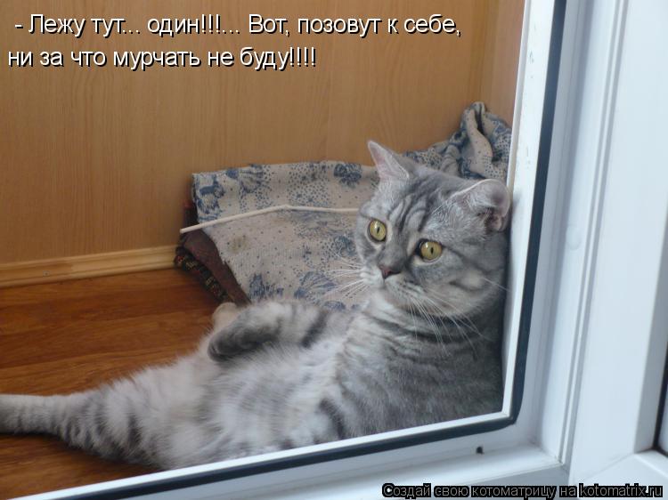 - Лежу тут... один!!!... Вот, позовут к себе, ни за что мурчать не буду!!!!... Котоматрица: - Лежу тут... один!!!... Вот, позовут к себе, ни за что мурчать не буду!!!!