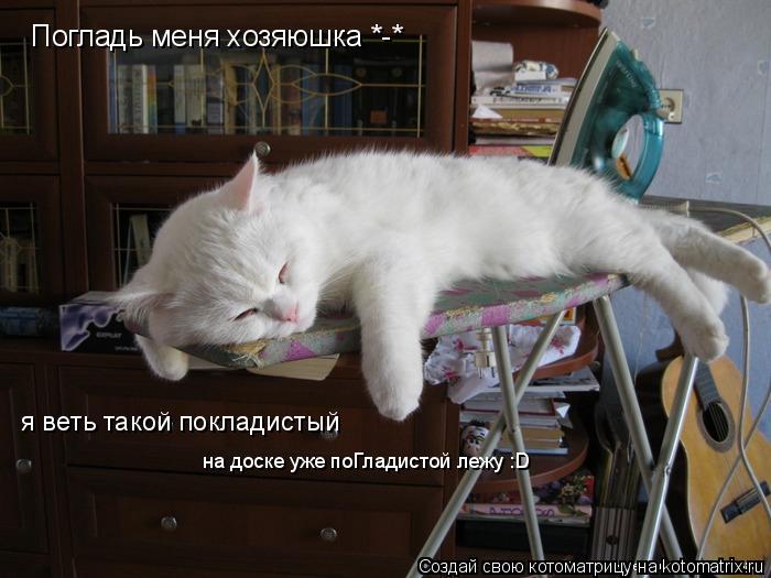 Погладь меня хозяюшка *-* я веть такой покладистый на доске уже поГладистой лежу :D... Котоматрица: Погладь меня хозяюшка *-* я веть такой покладистый на доске уже поГладистой лежу :D