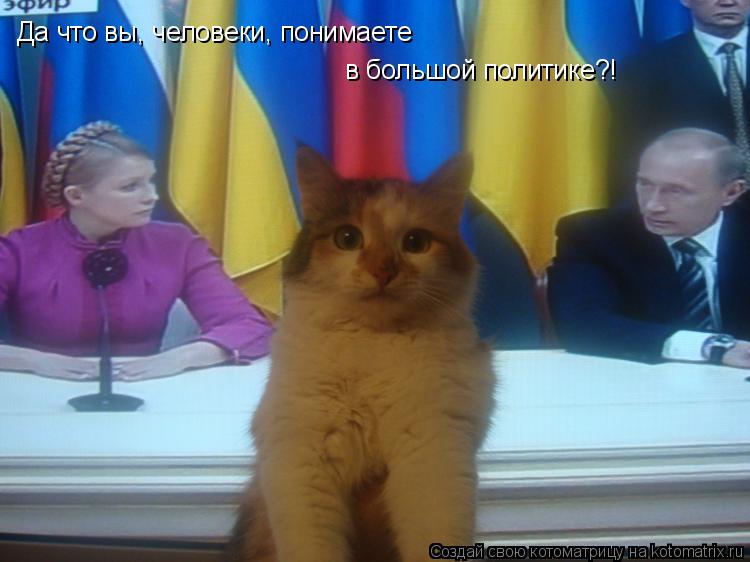 Да что вы, человеки, понимаете в большой политике?!... Котоматрица: Да что вы, человеки, понимаете в большой политике?!