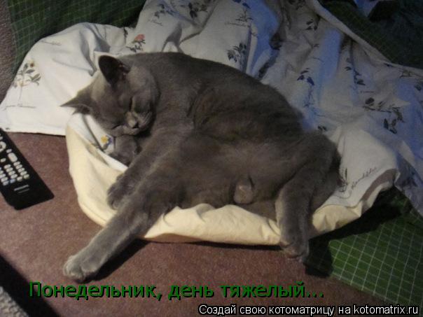 Понедельник, день тяжелый...... Котоматрица: Понедельник, день тяжелый...