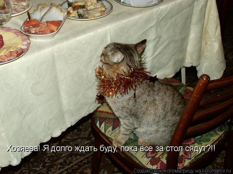 Хозяева! Я долго ждать буду, пока все за стол сядут?!!... Котоматрица: Хозяева! Я долго ждать буду, пока все за стол сядут?!!