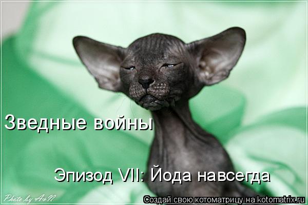 Зведные войны Эпизод VII: Йода навсегда... Котоматрица: Зведные войны Эпизод VII: Йода навсегда