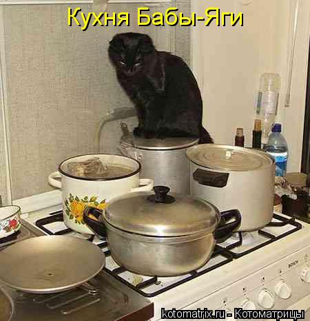 Кухня Бабы-Яги... Котоматрица: Кухня Бабы-Яги