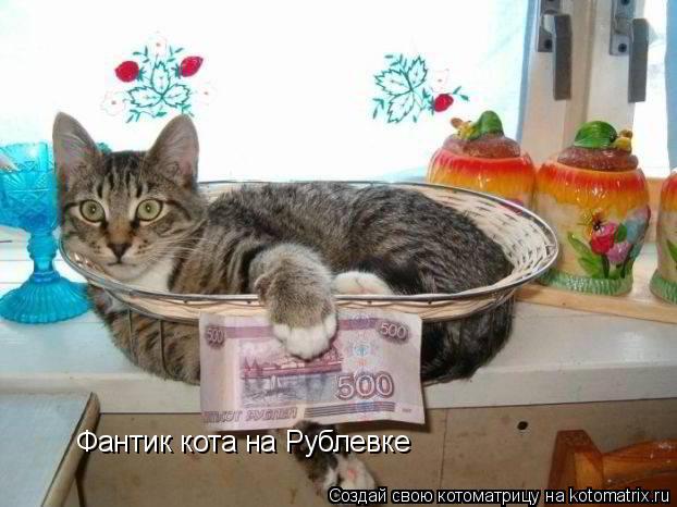 Фантик кота на Рублевке... Котоматрица: Фантик кота на Рублевке