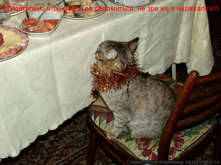 Обязательно что нибудь да обломиться, не зря же я наряжался!!!... Котоматрица: Обязательно что нибудь да обломиться, не зря же я наряжался!!!