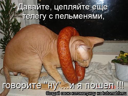 - Давайте, цепляйте еще телегу с пельменями, говорите "ну"...и я пошел !!!... Котоматрица: - Давайте, цепляйте еще телегу с пельменями, говорите "ну"...и я пошел !!!