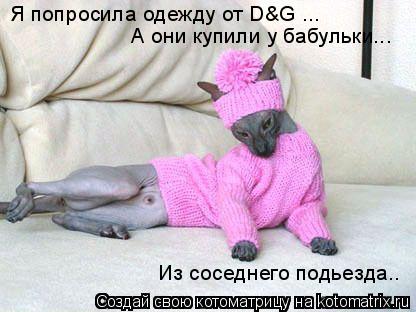 Я попросила одежду от D&G ... А они купили у бабульки... Из соседнего подьезда..... Котоматрица: Я попросила одежду от D&G ... А они купили у бабульки... Из соседнего подьезда..