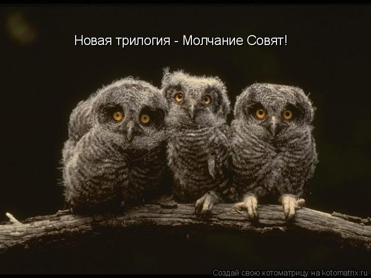 Новая трилогия - Молчание Совят!... Котоматрица: Новая трилогия - Молчание Совят!
