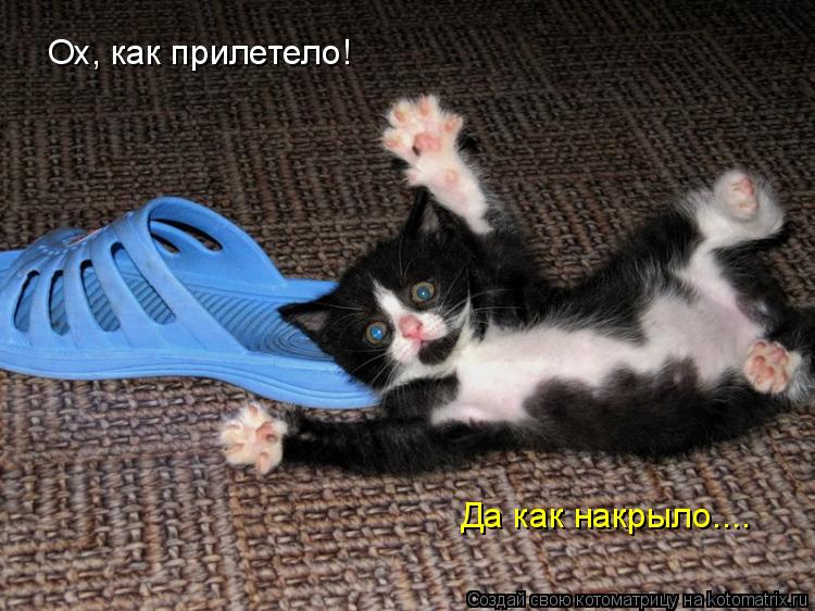 Ох, как прилетело! Да как накрыло....... Котоматрица: Ох, как прилетело! Да как накрыло....