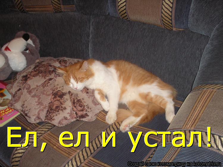 Ел, ел и устал! Ел, ел и устал!... Котоматрица: Ел, ел и устал! Ел, ел и устал!