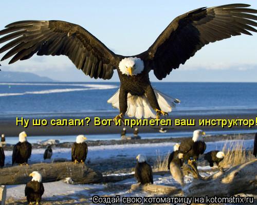 Ну шо салаги? Вот и прилетел ваш инструктор!... Котоматрица: Ну шо салаги? Вот и прилетел ваш инструктор!