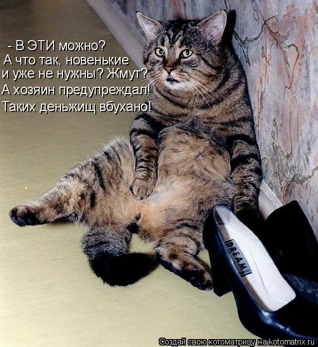 - В ЭТИ можно? А что так, новенькие и уже не нужны? Жмут? А хозяин предупреждал! Таких деньжищ вбуха... Котоматрица: - В ЭТИ можно? А что так, новенькие и уже не нужны? Жмут? А хозяин предупреждал! Таких деньжищ вбухано!