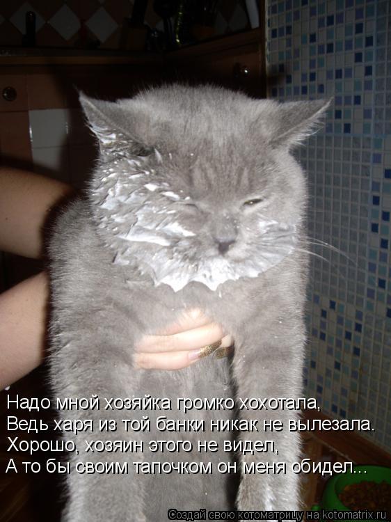 Надо мной хозяйка громко хохотала, Ведь харя из той банки никак не вылезала. Хорошо, хозяин этого не ... Котоматрица: Надо мной хозяйка громко хохотала, Ведь харя из той банки никак не вылезала. Хорошо, хозяин этого не видел, А то бы своим тапочком он меня оби
