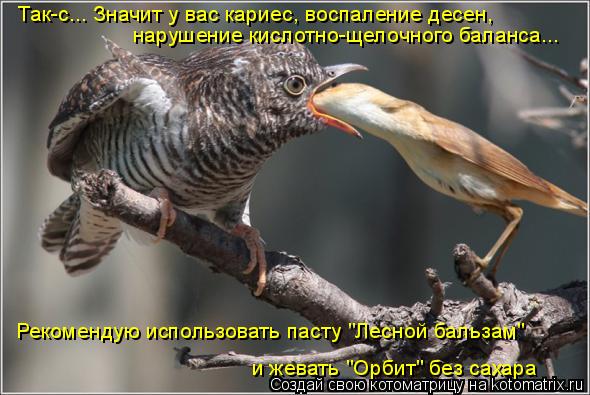 Так-с... Значит у вас кариес, воспаление десен, нарушение кислотно-щелочного баланса... Рекомендую ис... Котоматрица: Так-с... Значит у вас кариес, воспаление десен, нарушение кислотно-щелочного баланса... Рекомендую использовать пасту "Лесной бальзам" и жева