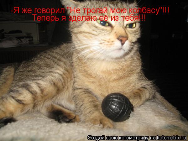 -Я же говорил "Не трогай мою колбасу"!!! Теперь я зделаю её из тебя!!!... Котоматрица: -Я же говорил "Не трогай мою колбасу"!!! Теперь я зделаю её из тебя!!!