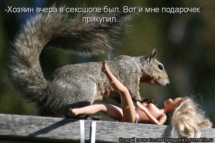 -Хозяин вчера в сексшопе был. Вот и мне подарочек прикупил...... Котоматрица: -Хозяин вчера в сексшопе был. Вот и мне подарочек прикупил...