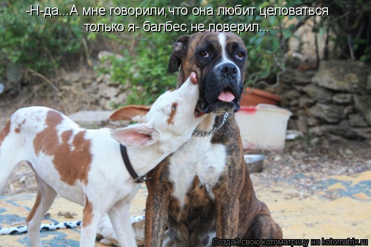 -Н-да...А мне говорили,что она любит целоваться только я- балбес,не поверил...... Котоматрица: -Н-да...А мне говорили,что она любит целоваться только я- балбес,не поверил...