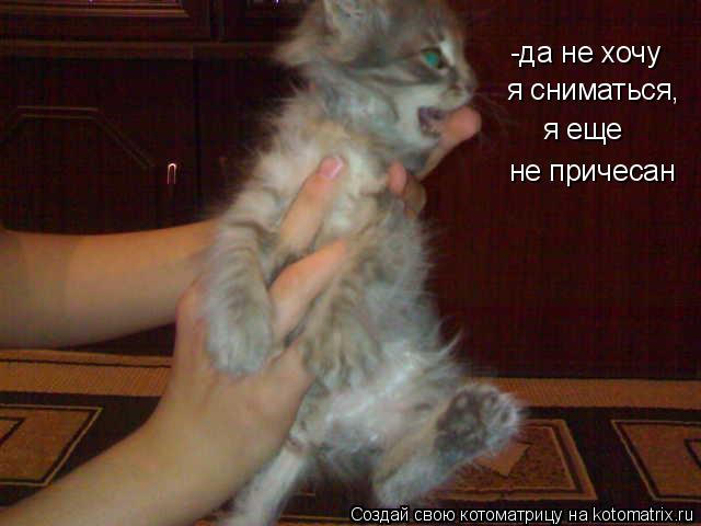 -да не хочу я сниматься, я еще не причесан... Котоматрица: -да не хочу я сниматься, я еще не причесан
