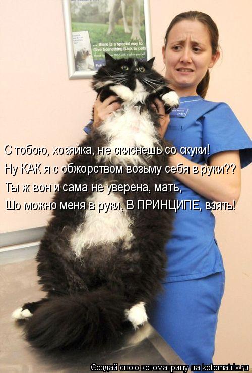 С тобою, хозяйка, не скиснешь со скуки! Ну КАК я с обжорством возьму себя в руки?? Ты ж вон и сама не... Котоматрица: С тобою, хозяйка, не скиснешь со скуки! Ну КАК я с обжорством возьму себя в руки?? Ты ж вон и сама не уверена, мать, Шо можно меня в руки, В ПРИНЦ