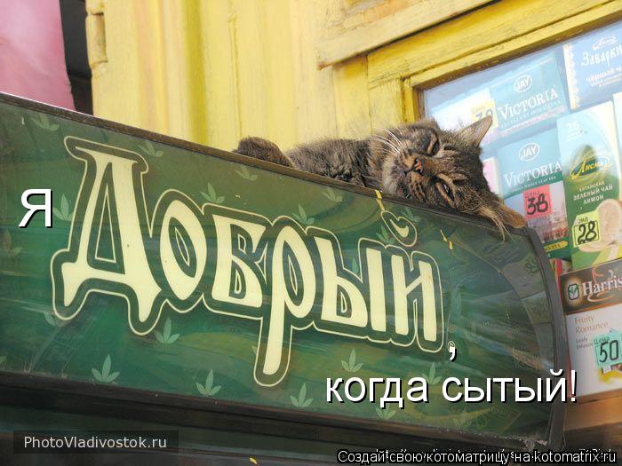 когда сытый! Я ,... Котоматрица: когда сытый! Я ,