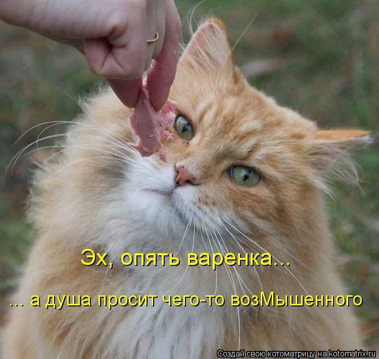 Эх, опять варенка... ... а душа просит чего-то возМышенного... Котоматрица: Эх, опять варенка... ... а душа просит чего-то возМышенного