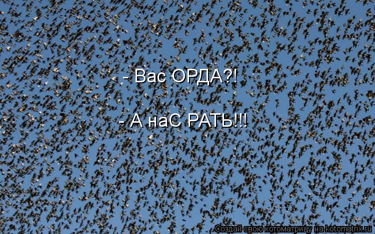 - Вас ОРДА?! - А наС РАТЬ!!!... Котоматрица: - Вас ОРДА?! - А наС РАТЬ!!!