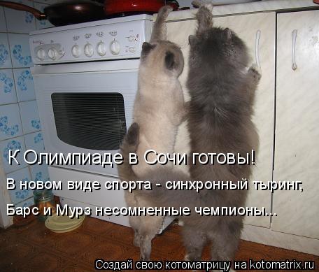 К Олимпиаде в Сочи готовы! В новом виде спорта - синхронный тыринг, Барс и Мурз несомненные чемпионы.... Котоматрица: К Олимпиаде в Сочи готовы! В новом виде спорта - синхронный тыринг, Барс и Мурз несомненные чемпионы...