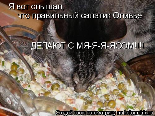 Я вот слышал, что правильный салатик Оливье ДЕЛАЮТ С МЯ-Я-Я-ЯСОМ!!!!... Котоматрица: Я вот слышал, что правильный салатик Оливье ДЕЛАЮТ С МЯ-Я-Я-ЯСОМ!!!!