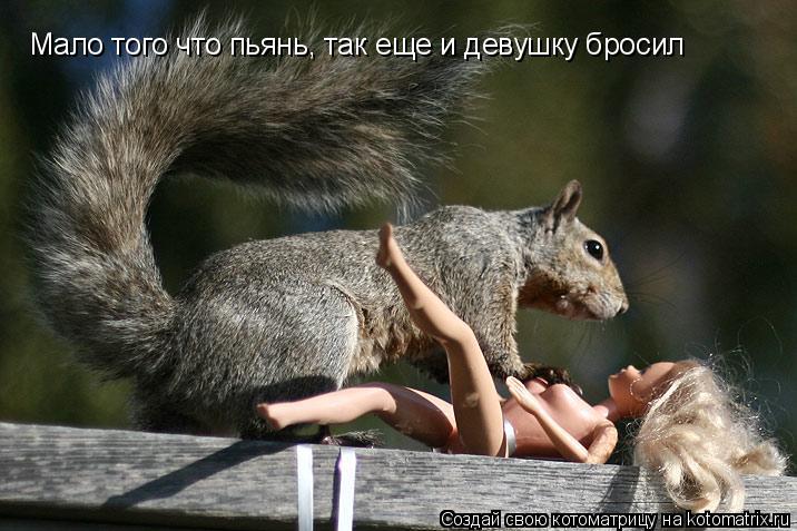 Мало того что пьянь, так еще и девушку бросил... Котоматрица: Мало того что пьянь, так еще и девушку бросил