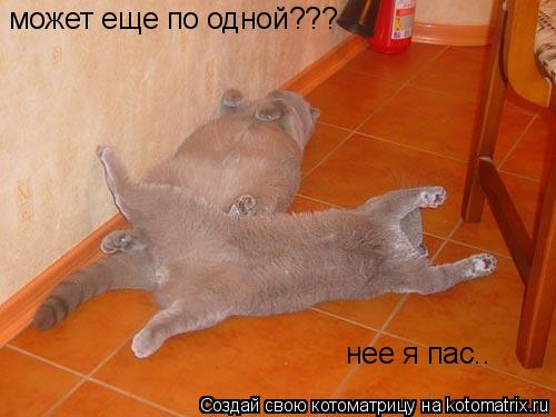 может еще по одной??? нее я пас..... Котоматрица: может еще по одной??? нее я пас..