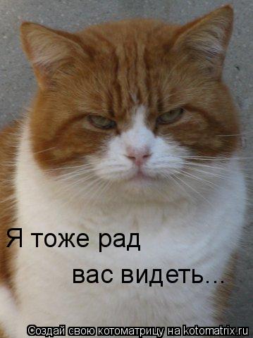 Я тоже рад вас видеть...... Котоматрица: Я тоже рад вас видеть...