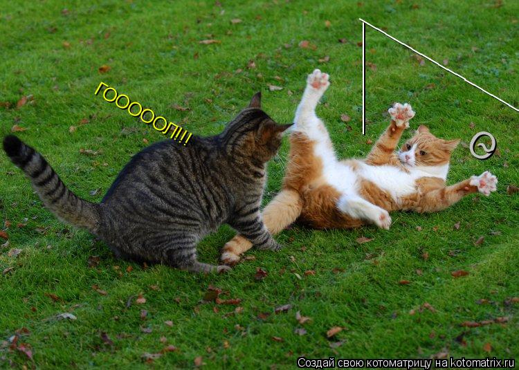 ___________ ____________________ О ГОООООЛ!!! ~... Котоматрица: ___________ ____________________ О ГОООООЛ!!! ~