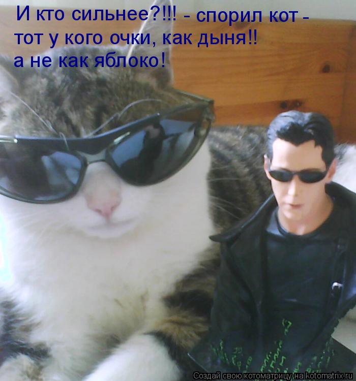 И кто сильнее?!!! - спорил кот - тот у кого очки, как дыня!! а не как яблоко!... Котоматрица: И кто сильнее?!!! - спорил кот - тот у кого очки, как дыня!! а не как яблоко!