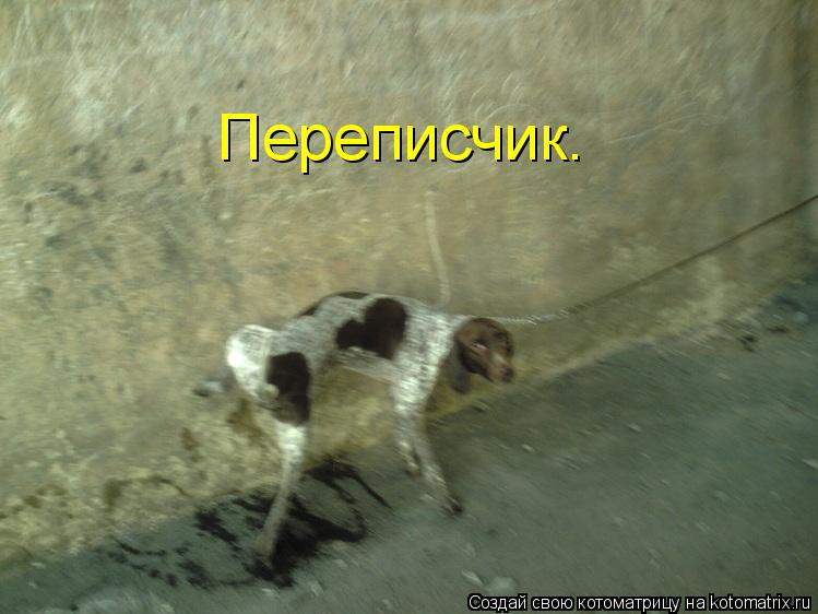 Переписчик.... Котоматрица: Переписчик.