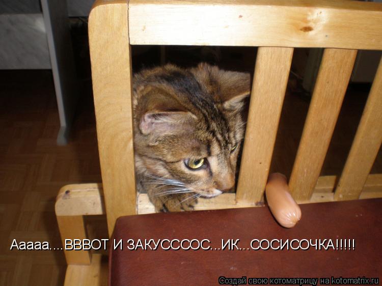 Ааааа....ВВВОТ И ЗАКУСССОС...ИК...СОСИСОЧКА!!!!!... Котоматрица: Ааааа....ВВВОТ И ЗАКУСССОС...ИК...СОСИСОЧКА!!!!!