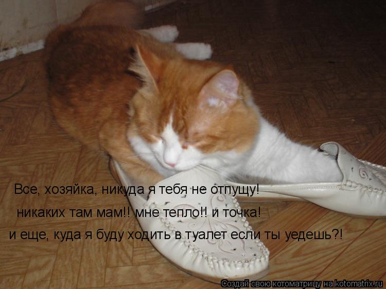 Все, хозяйка, никуда я тебя не отпущу! никаких там мам!! мне тепло!! и точка! и еще, куда я буду ход... Котоматрица: Все, хозяйка, никуда я тебя не отпущу! никаких там мам!! мне тепло!! и точка! и еще, куда я буду ходить в туалет если ты уедешь?!
