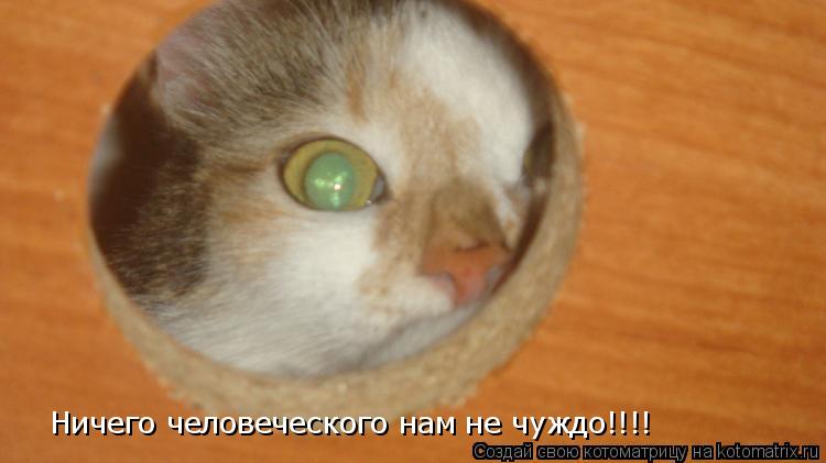 Ничего человеческого нам не чуждо!!!!... Котоматрица: Ничего человеческого нам не чуждо!!!!