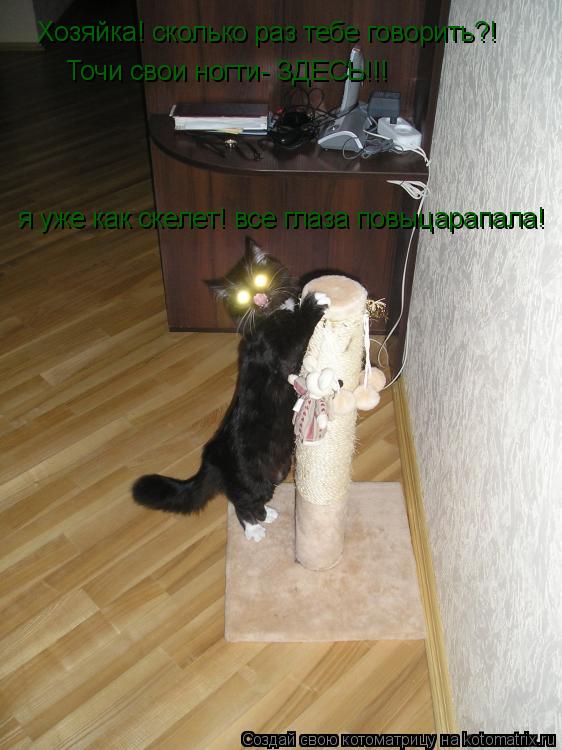 Хозяйка! сколько раз тебе говорить?! Точи свои ногти- ЗДЕСЬ!!! я уже как скелет! все глаза повыцарап... Котоматрица: Хозяйка! сколько раз тебе говорить?! Точи свои ногти- ЗДЕСЬ!!! я уже как скелет! все глаза повыцарапала!